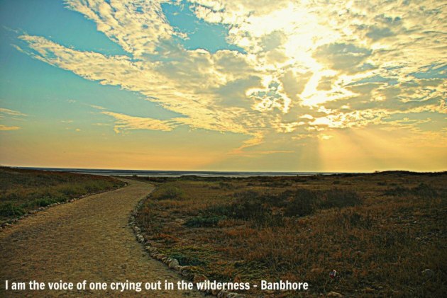 10114_511907285539964_1591746104_n