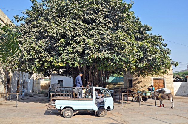 ????????????????????????????????????